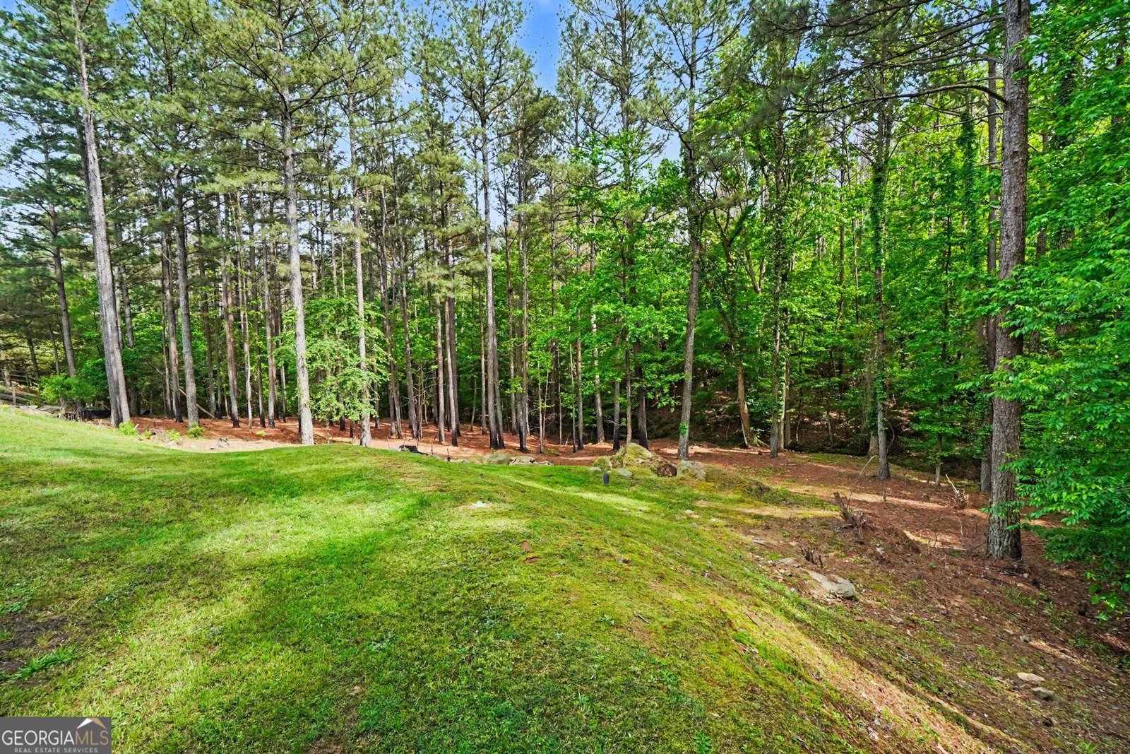 93 Grace Arbor Lane Dallas - Photo 44