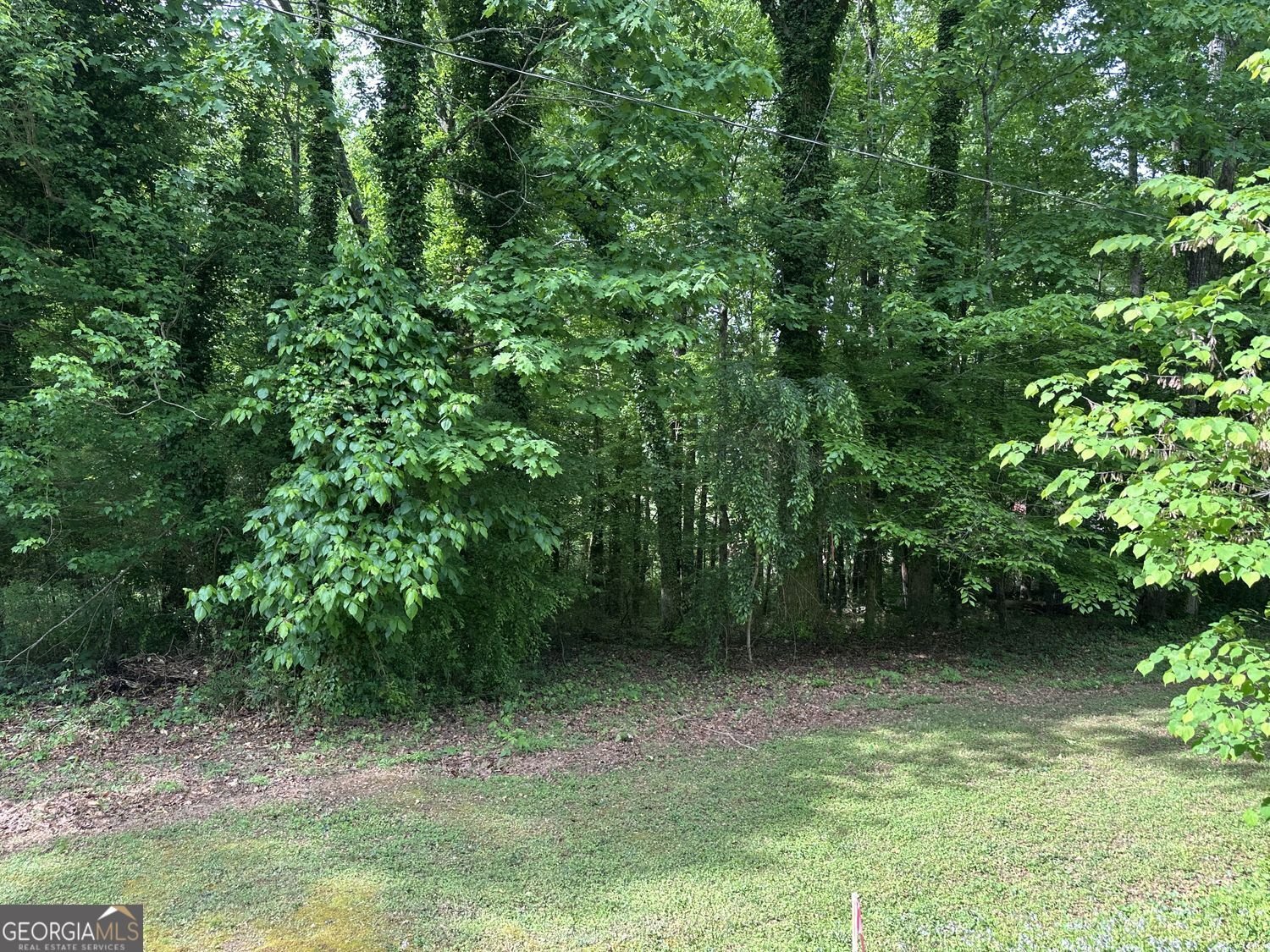 5920 Gilstrap Drive Murrayville - Photo 15