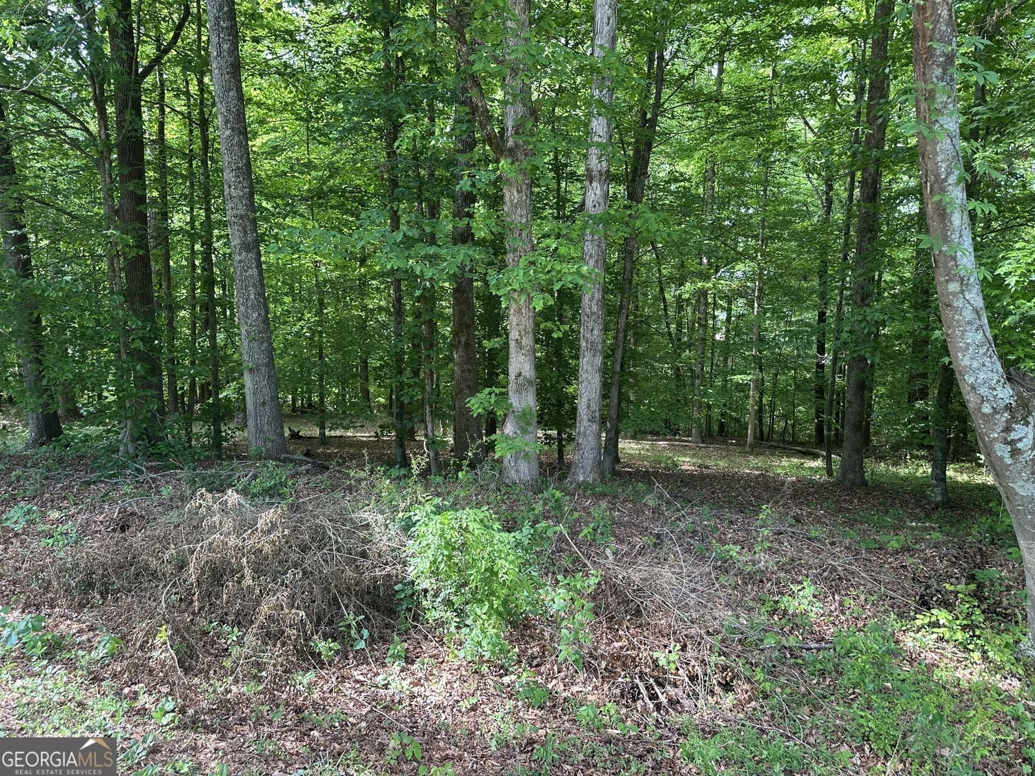 5920 Gilstrap Drive Murrayville - Photo 16