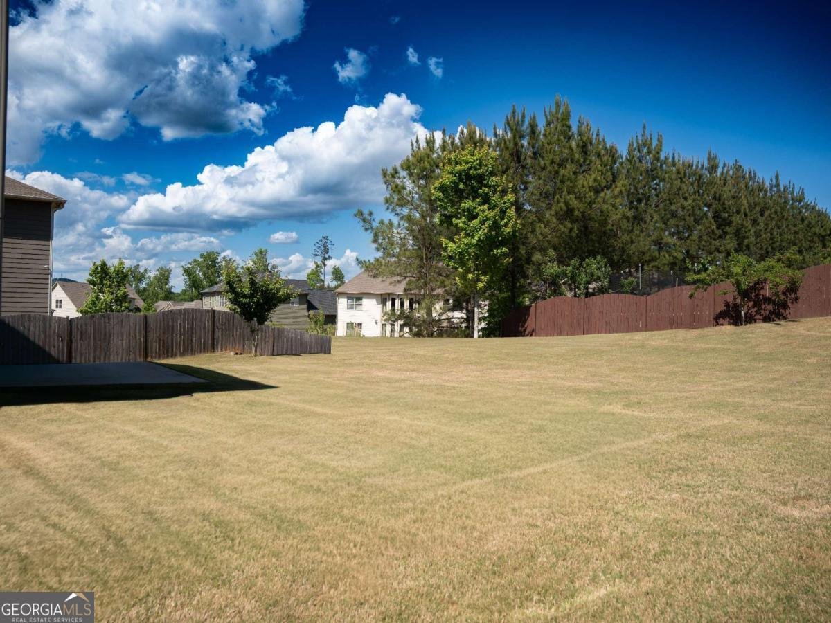 4075 Tobiano Trail Cumming - Photo 37