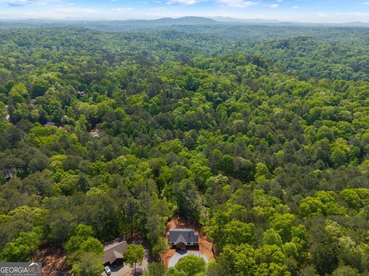 227 Haven Court Ellijay - Photo 45