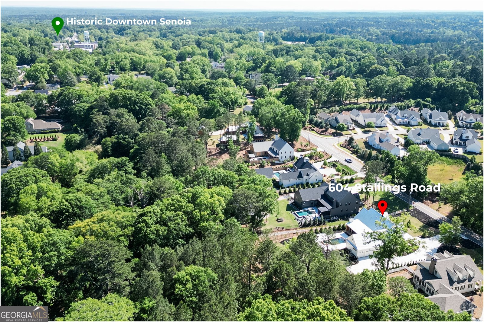 604 Stallings Road Senoia - Photo 6