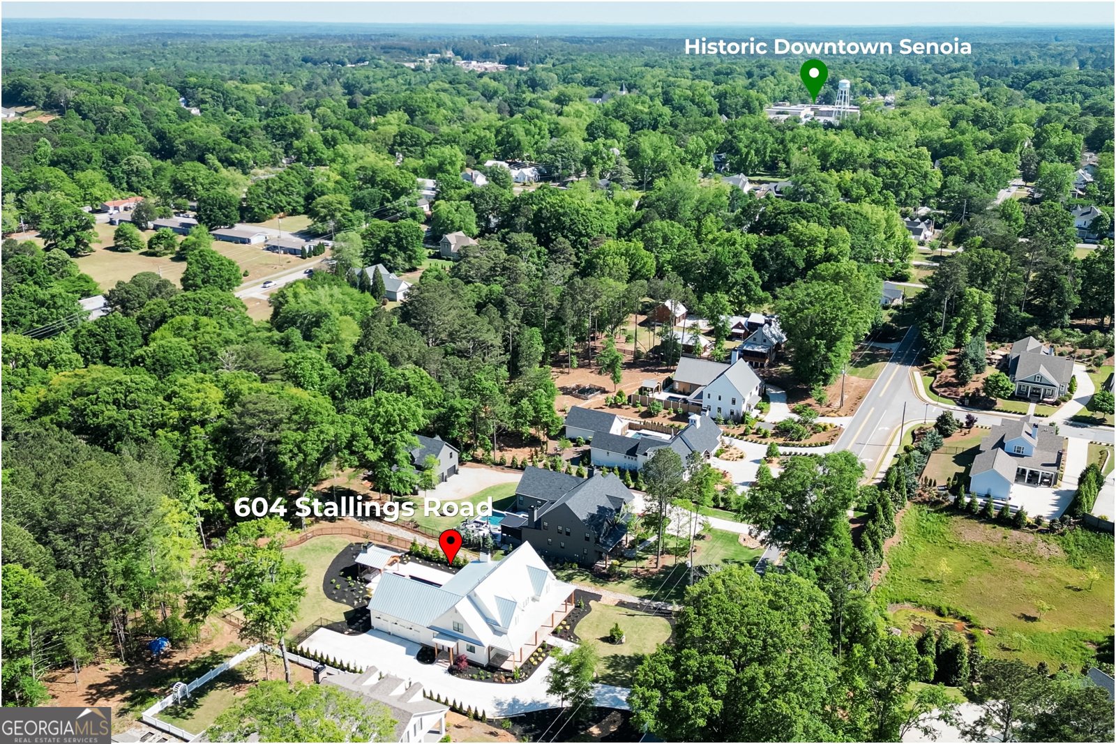 604 Stallings Road Senoia - Photo 7