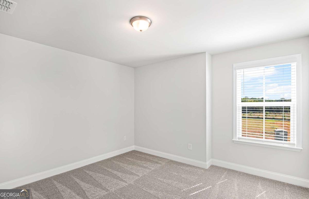 275 Nesta Grove Drive Locust Grove - Photo 26