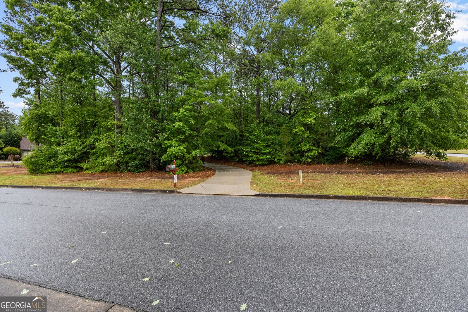 32 Brooks Lake Drive Newnan - Photo 57