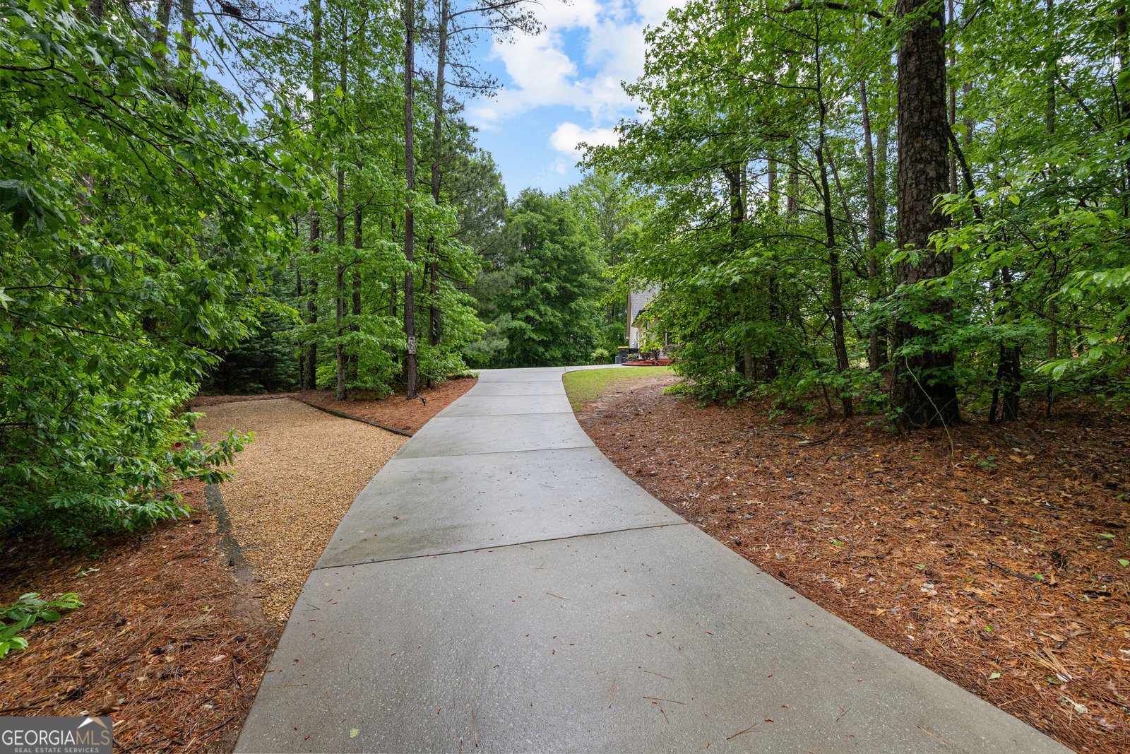 32 Brooks Lake Drive Newnan - Photo 59
