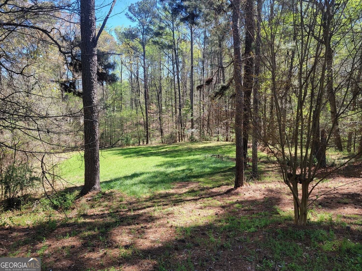 4206 Pittman Road College Park - Photo 10