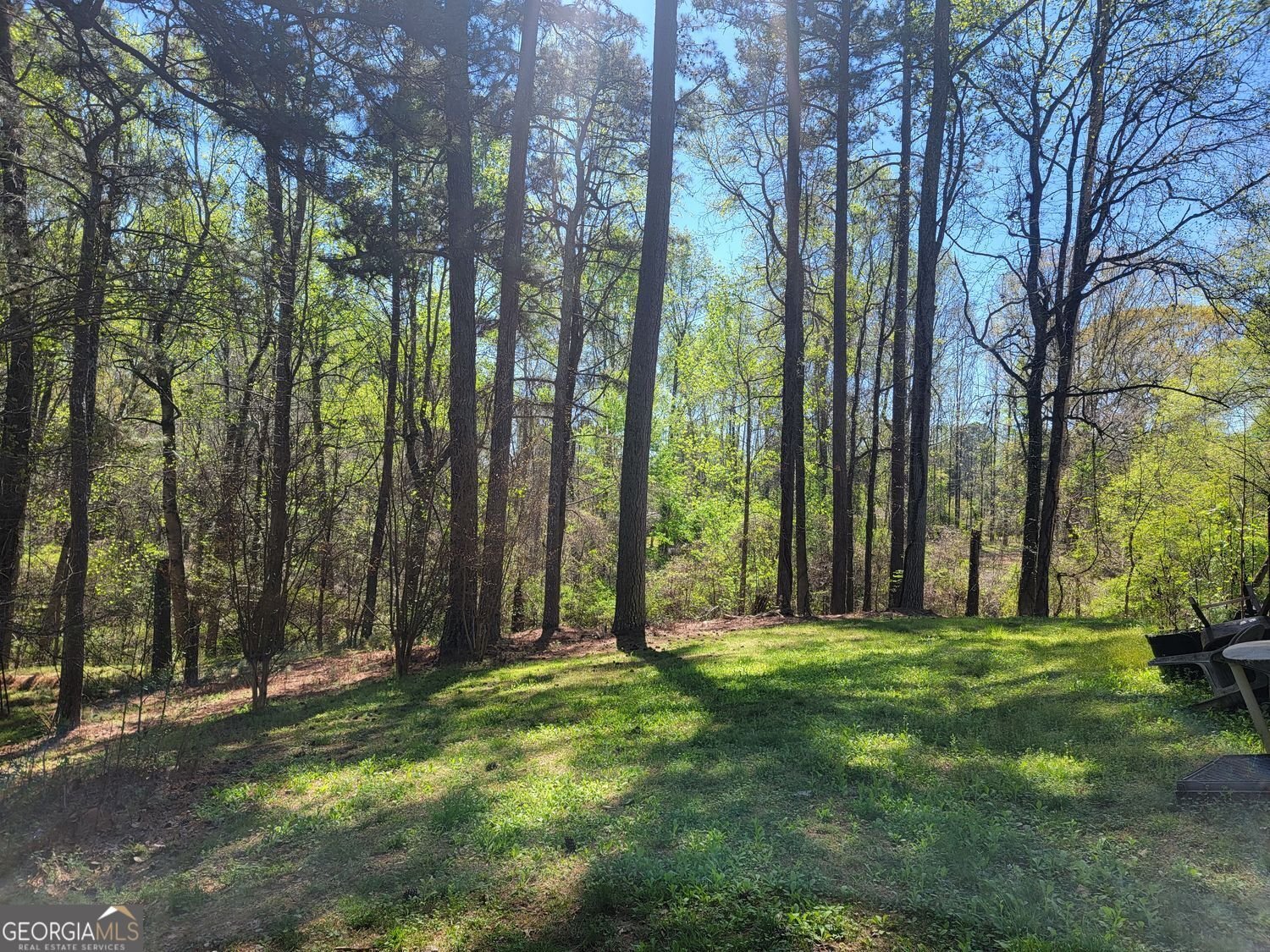 4206 Pittman Road College Park - Photo 11