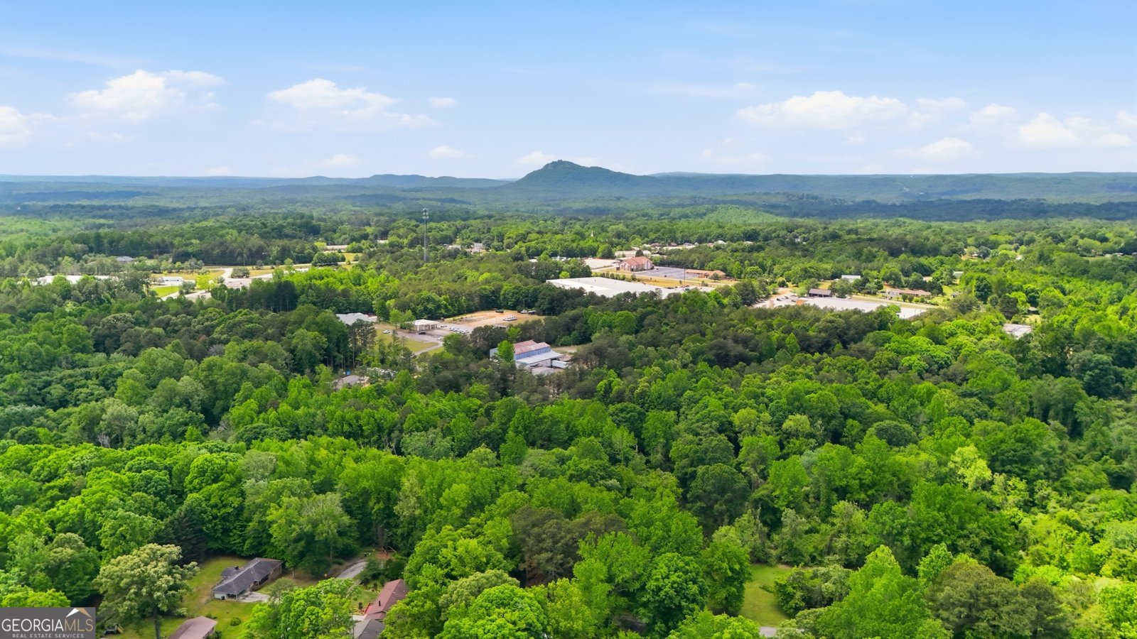 1226 Skyline Drive Toccoa - Photo 35