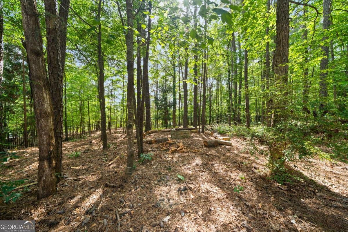 1406 Creston Hill Peachtree City - Photo 62