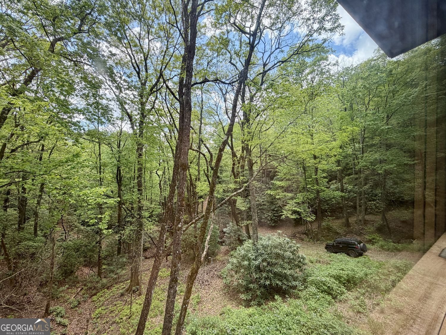 881 Mule Branch Road Helen - Photo 34