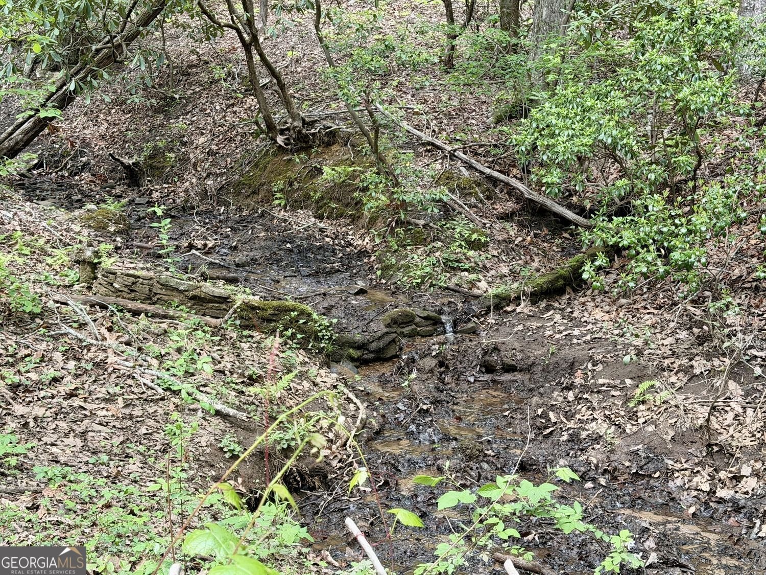 881 Mule Branch Road Helen - Photo 35