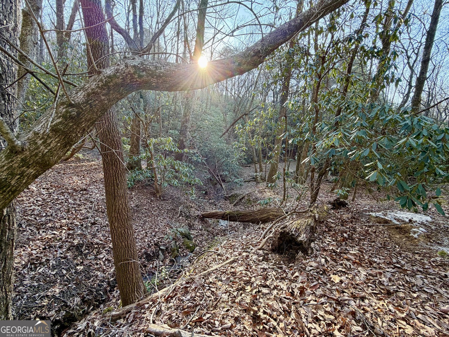 881 Mule Branch Road Helen - Photo 36