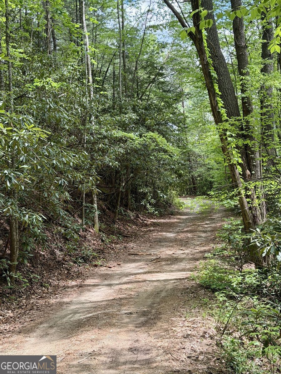 881 Mule Branch Road Helen - Photo 39