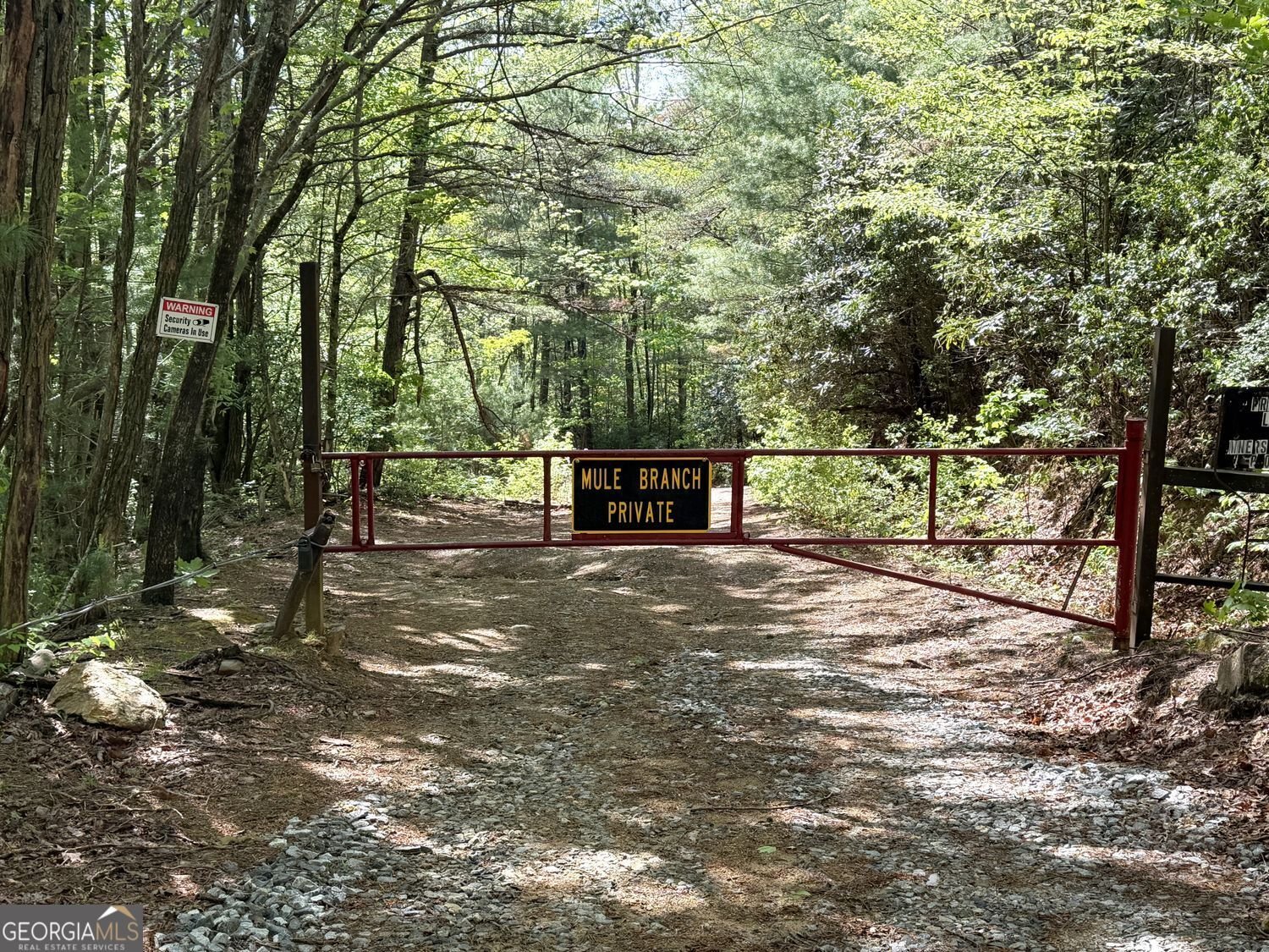881 Mule Branch Road Helen - Photo 41