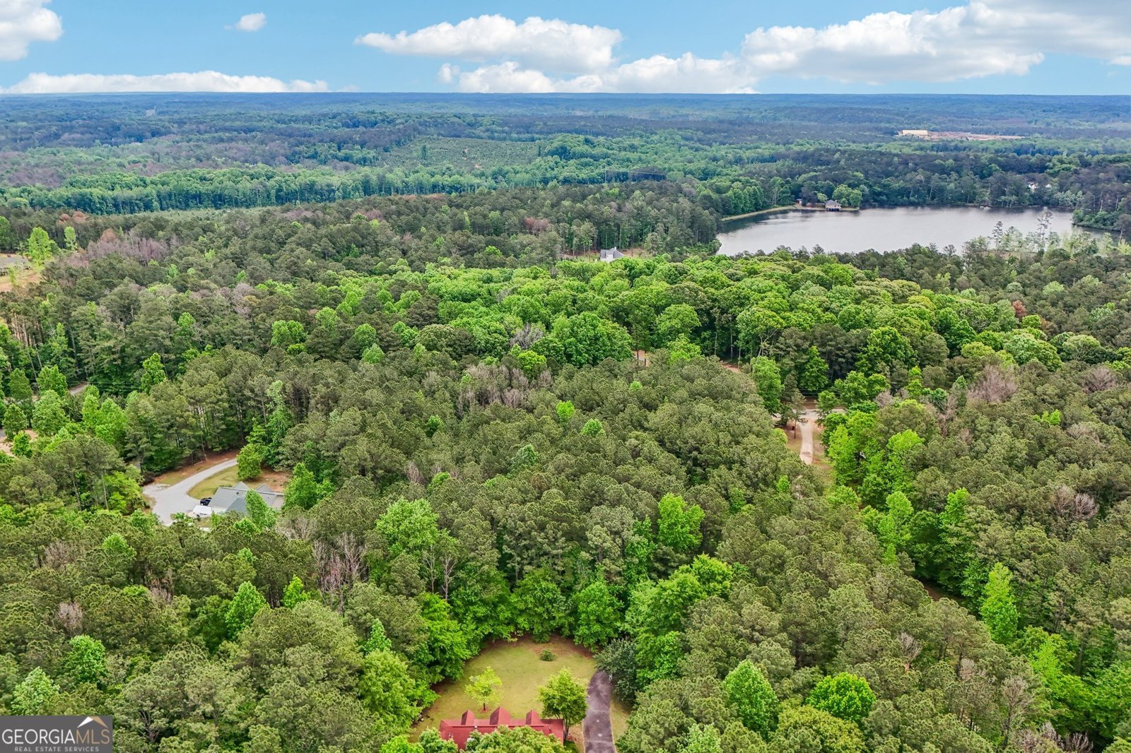 378 Pierce Chapel Road Newnan - Photo 58