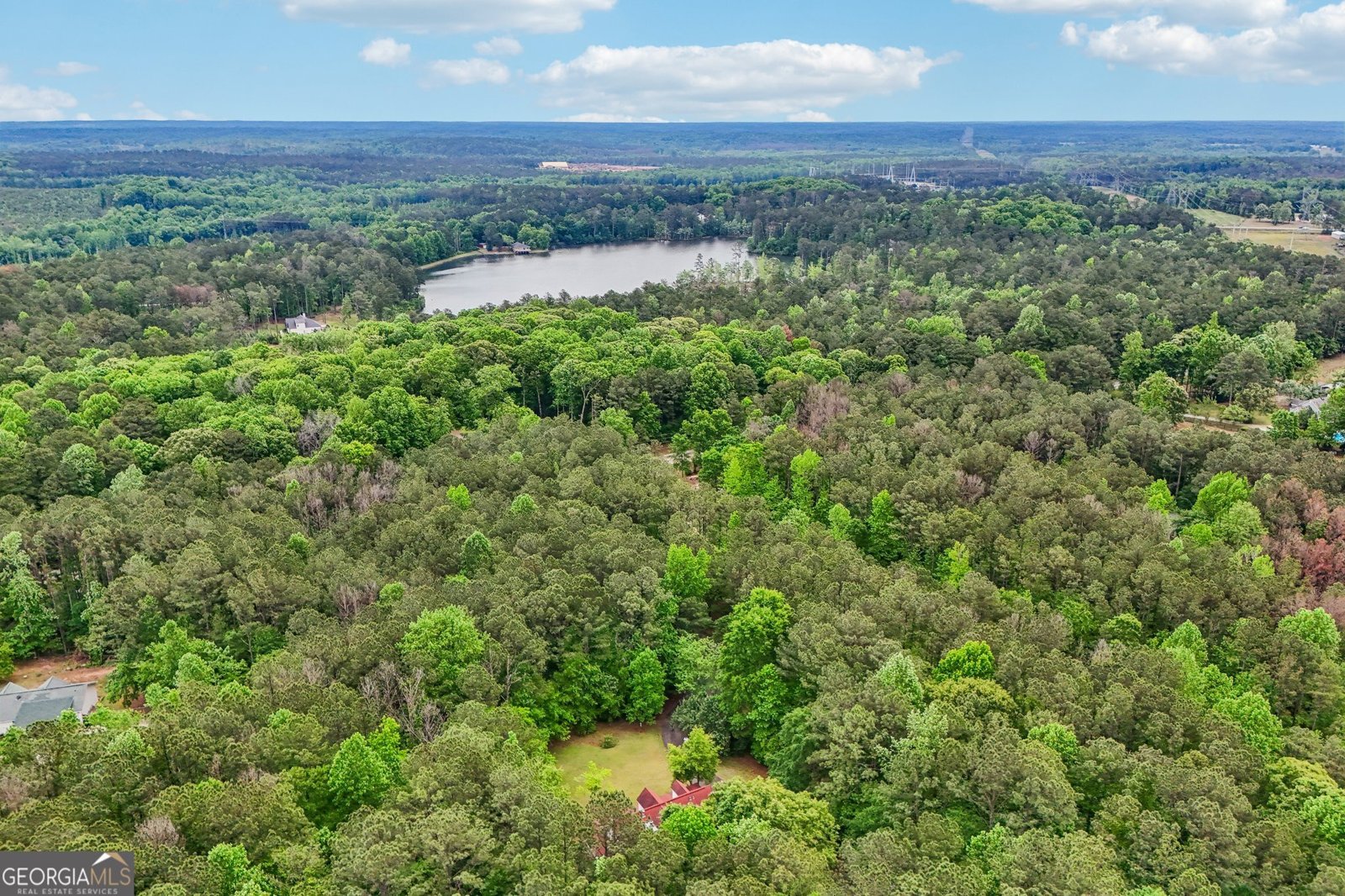 378 Pierce Chapel Road Newnan - Photo 59