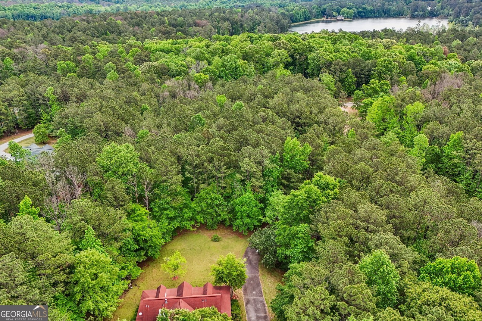 378 Pierce Chapel Road Newnan - Photo 60