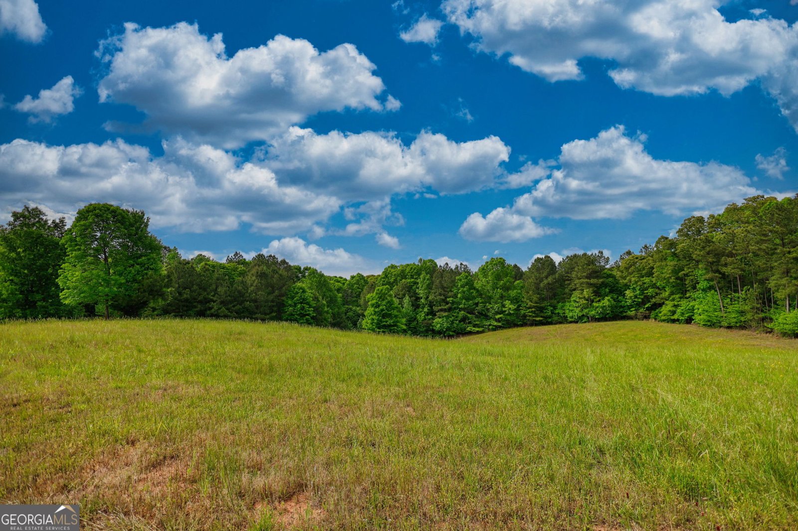 734 Fincher Road Covington - Photo 123