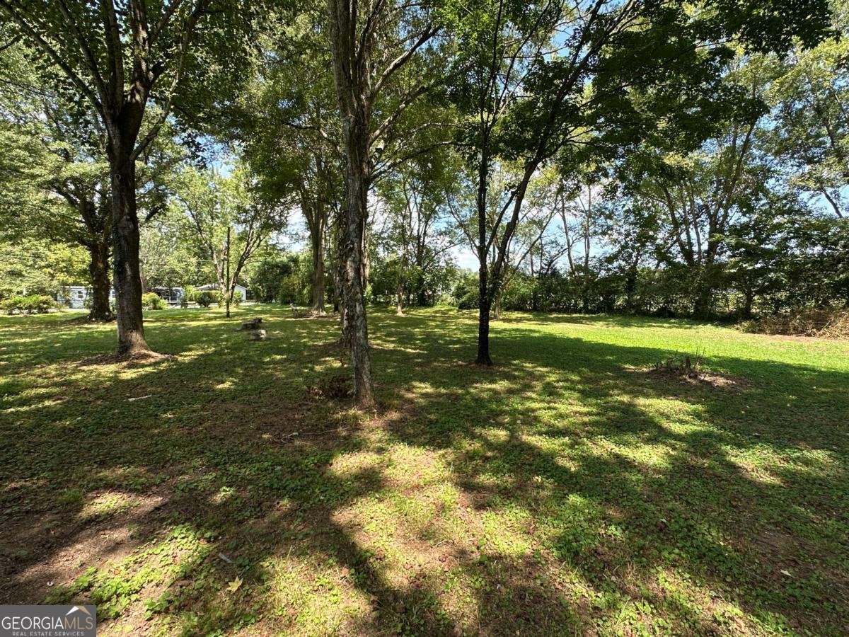 12 Walker Road Cartersville - Photo 39