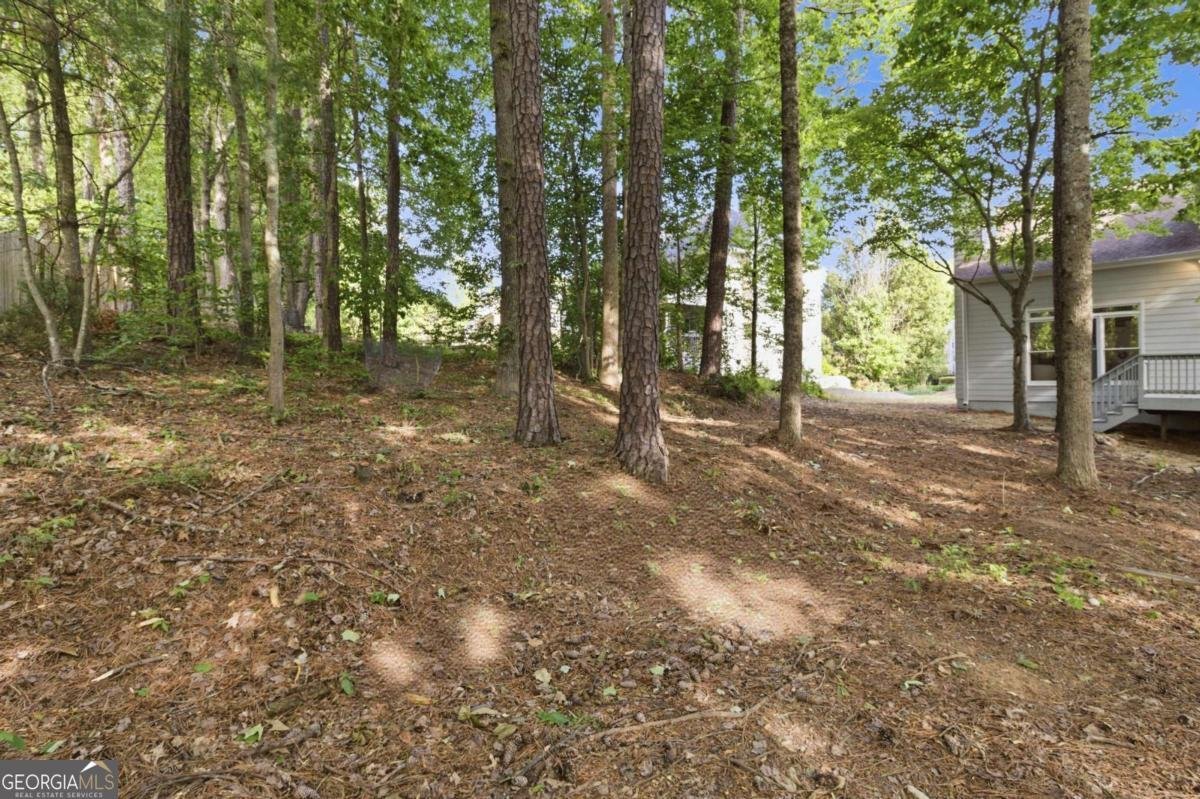6310 Braidwood Overlook Acworth - Photo 68