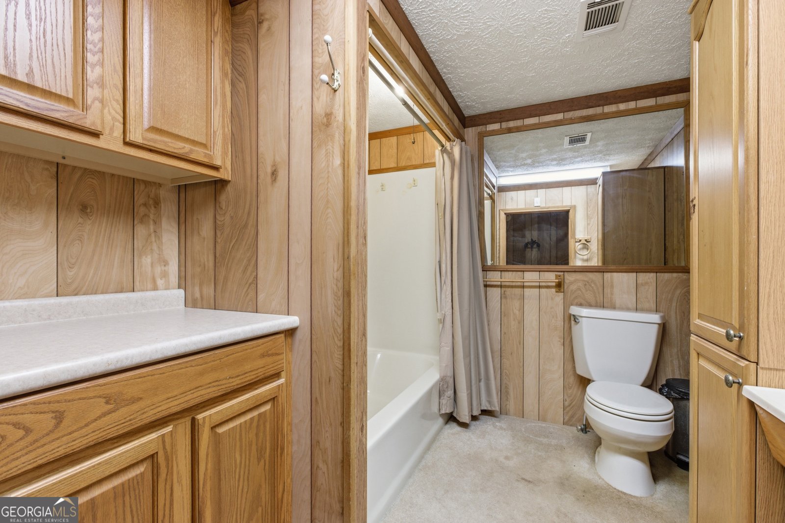 579 Old Hist 441 Clarkesville - Photo 18
