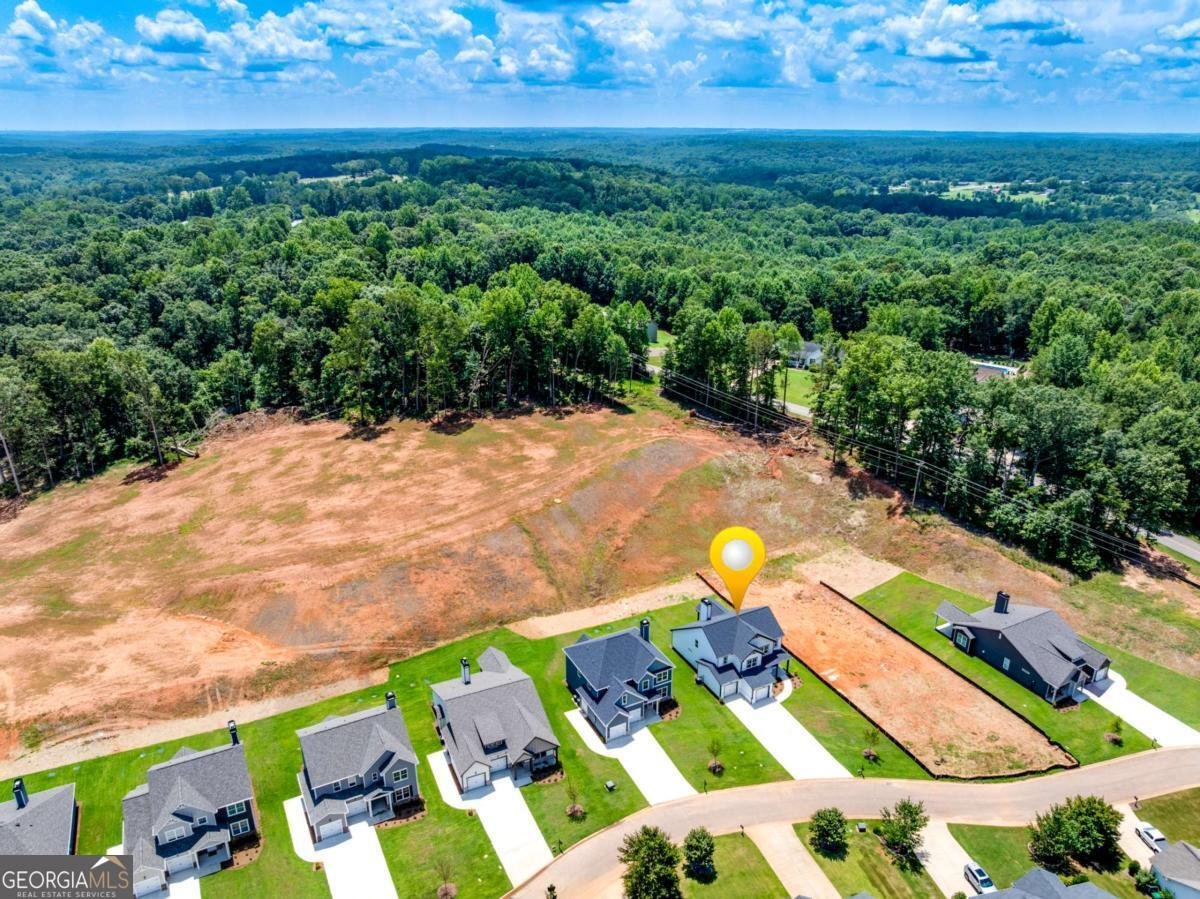 114 Classic Overlook-Lot 3A Homer - Photo 42