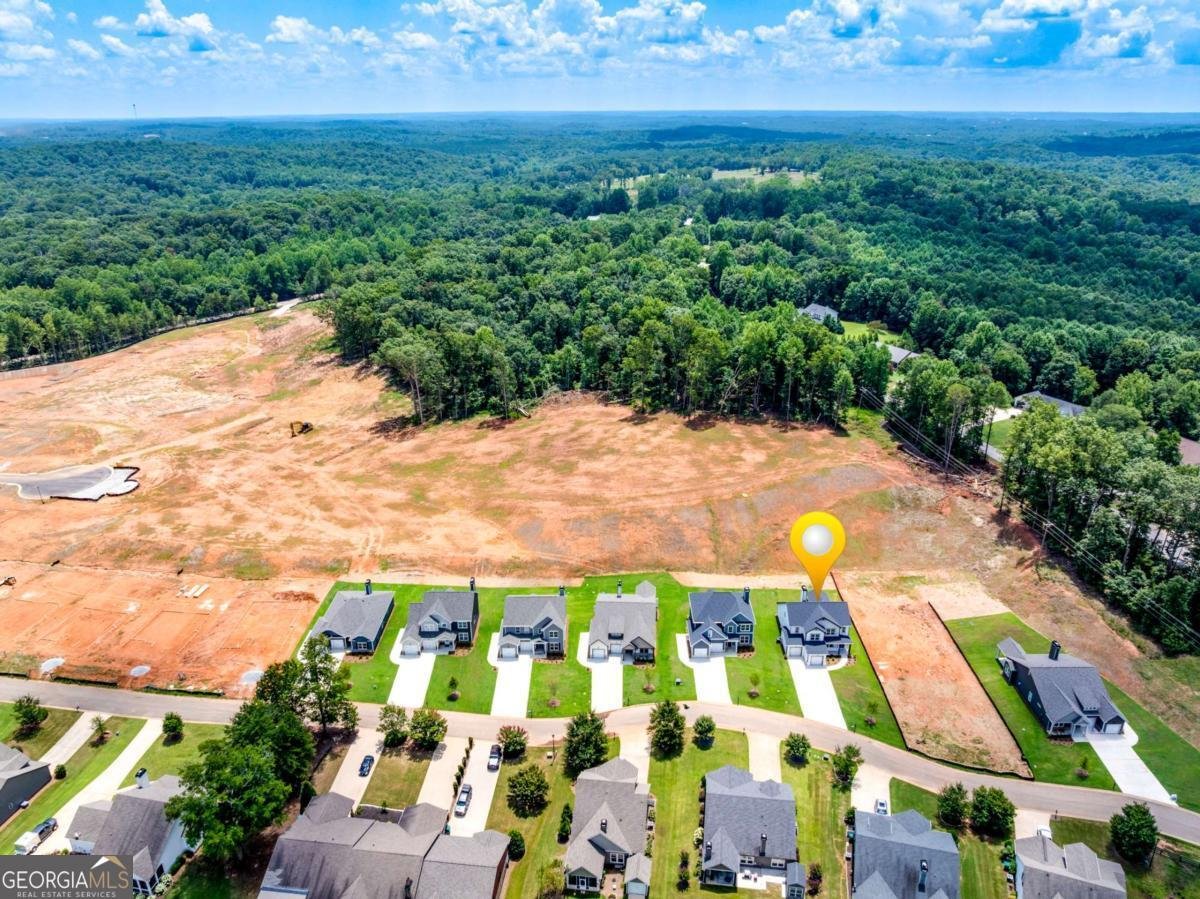 114 Classic Overlook-Lot 3A Homer - Photo 45