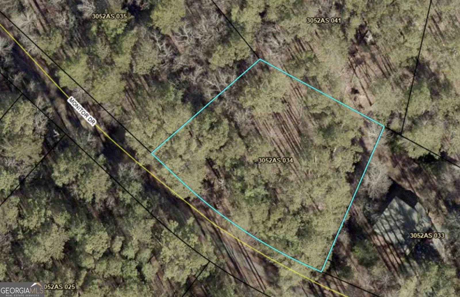 82 Monitor Drive Ellijay - Photo 33