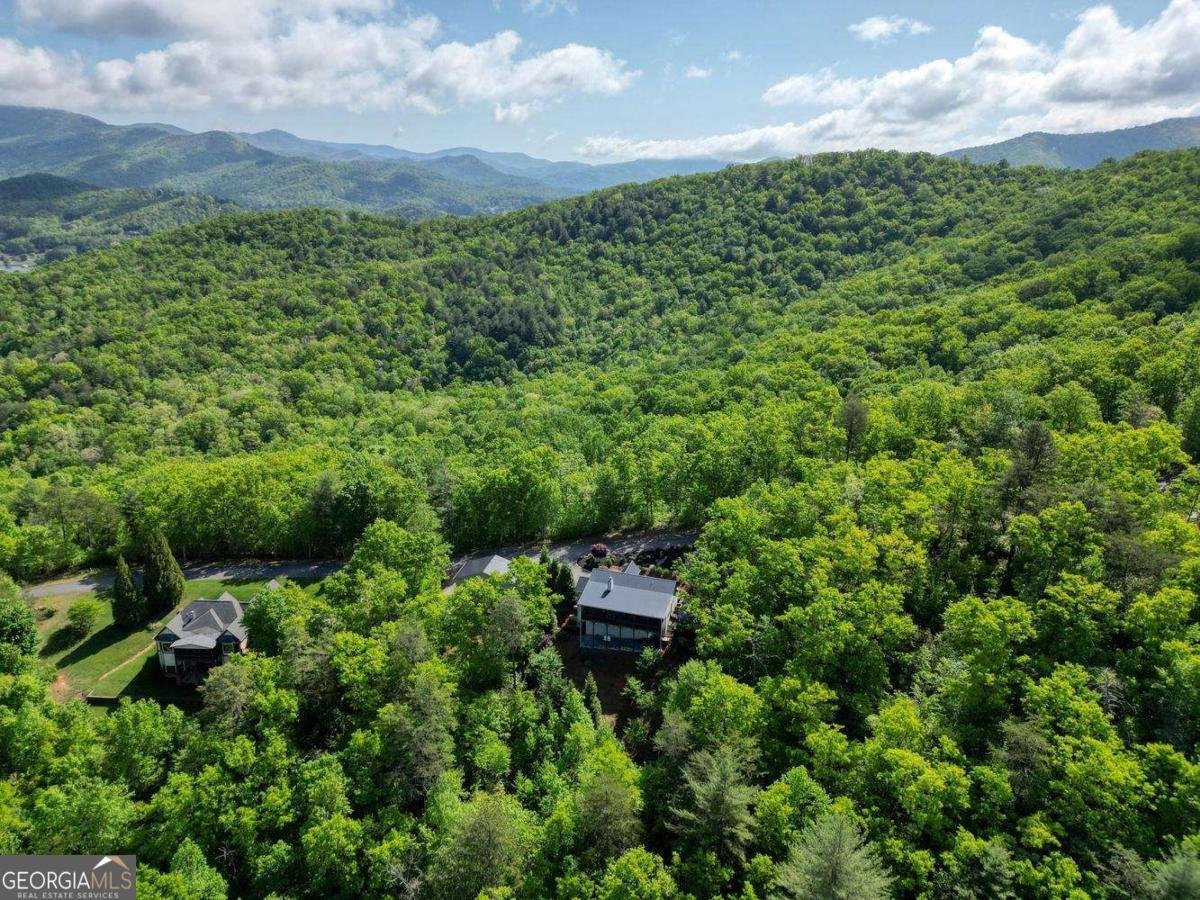 2406 Big Cove Drive Hiawassee - Photo 61