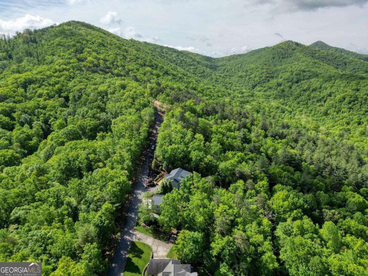 2406 Big Cove Drive Hiawassee - Photo 62