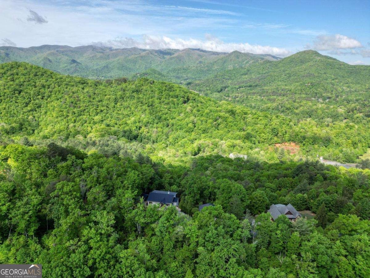 2406 Big Cove Drive Hiawassee - Photo 63