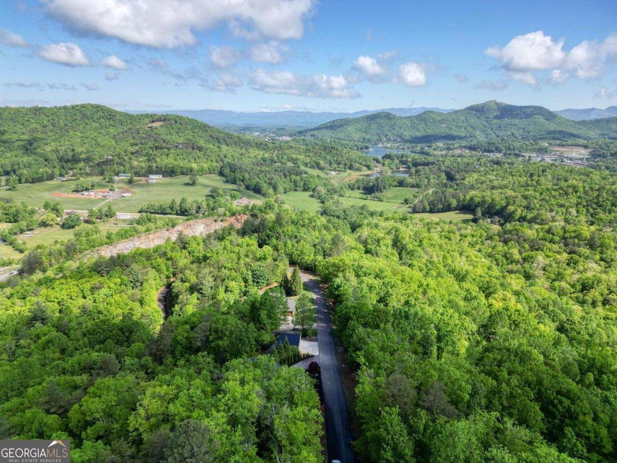 2406 Big Cove Drive Hiawassee - Photo 64