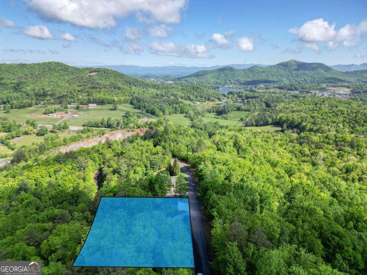 2406 Big Cove Drive Hiawassee - Photo 65