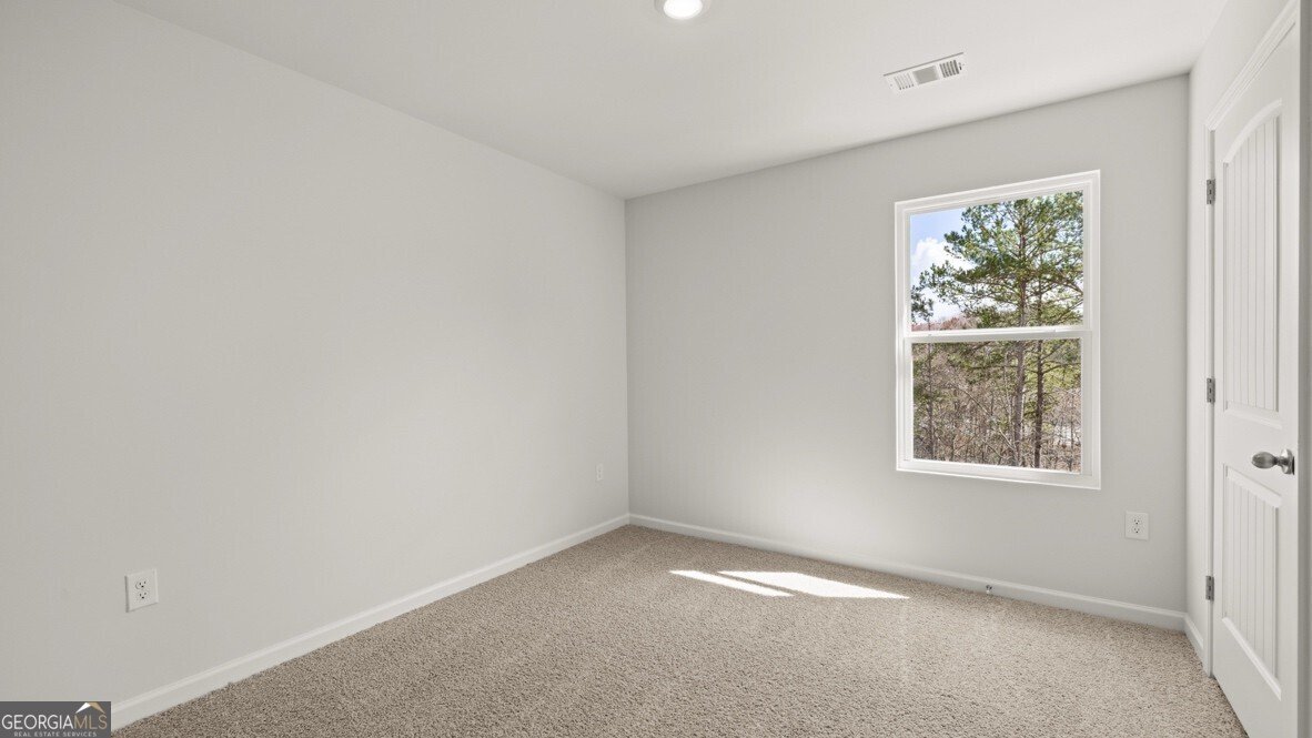 66 Berryville Drive Dawsonville - Photo 22