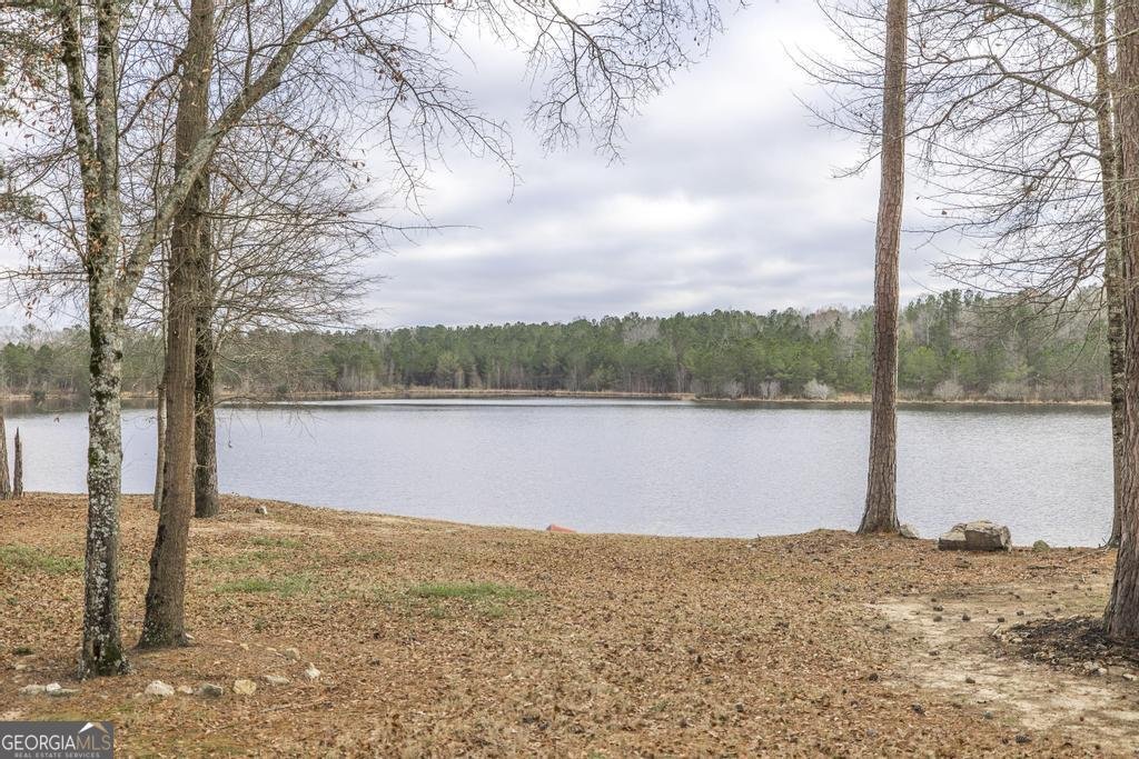 323 Willow Cove Court Lizella - Photo 35