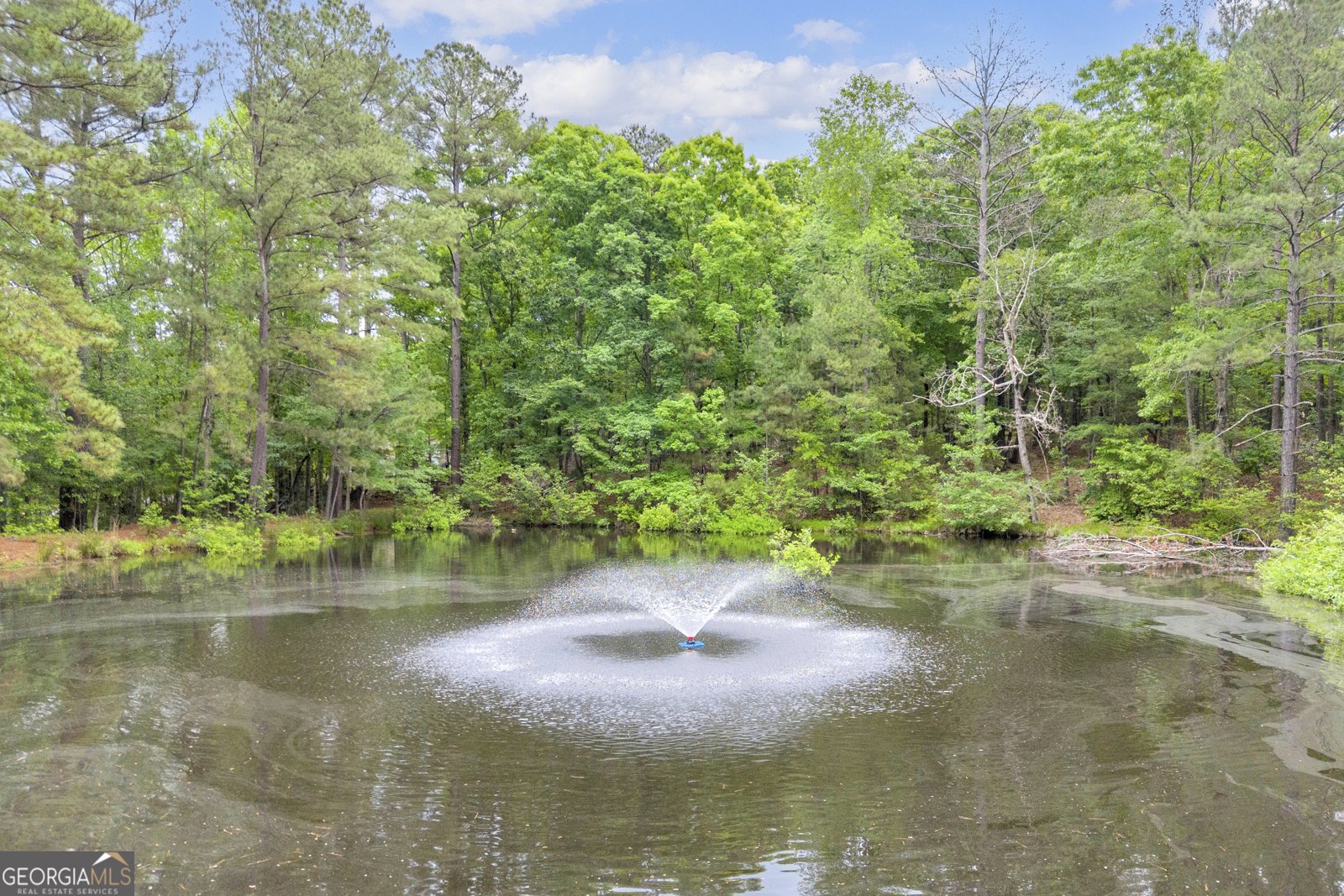 1597 Mercier Road Lincolnton - Photo 31