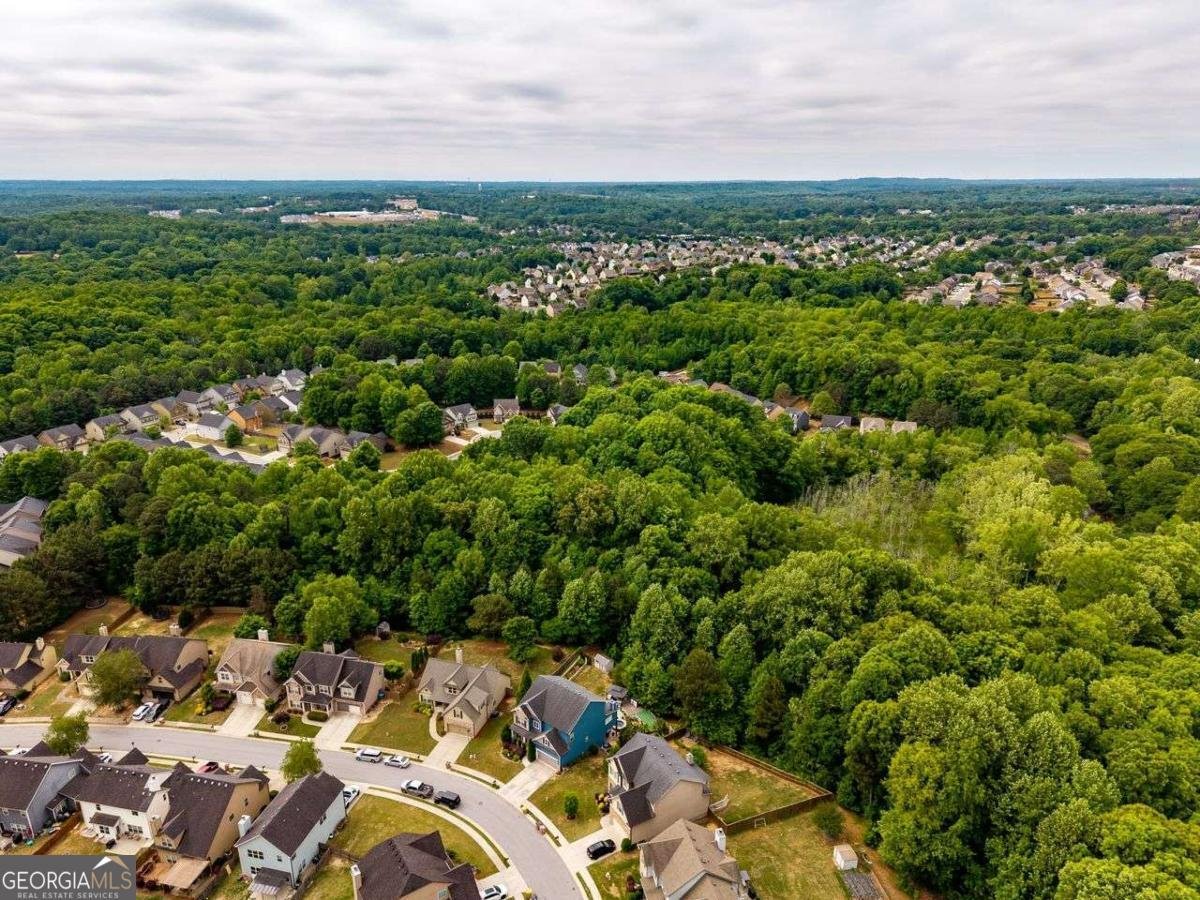 9547 Rushmore Circle Braselton - Photo 64
