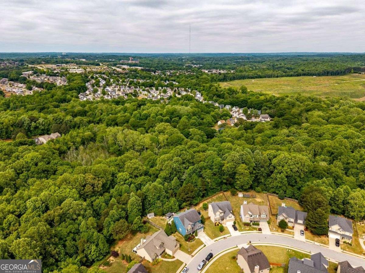 9547 Rushmore Circle Braselton - Photo 70
