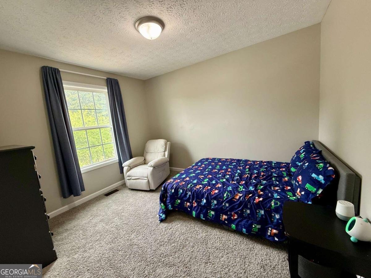 44 Meadow Spring Lane Temple - Photo 11