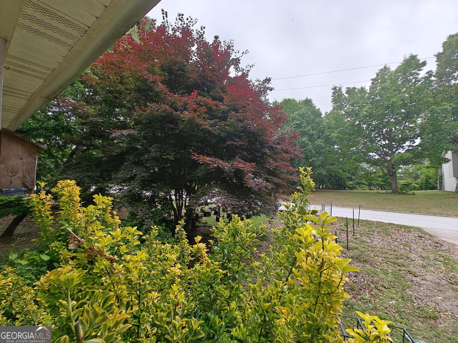 115 Cash Way Rockmart - Photo 12