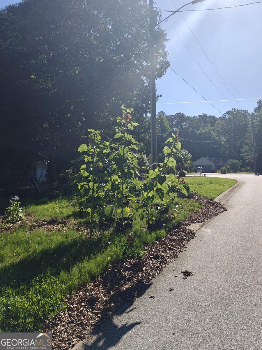 115 Cash Way Rockmart - Photo 21