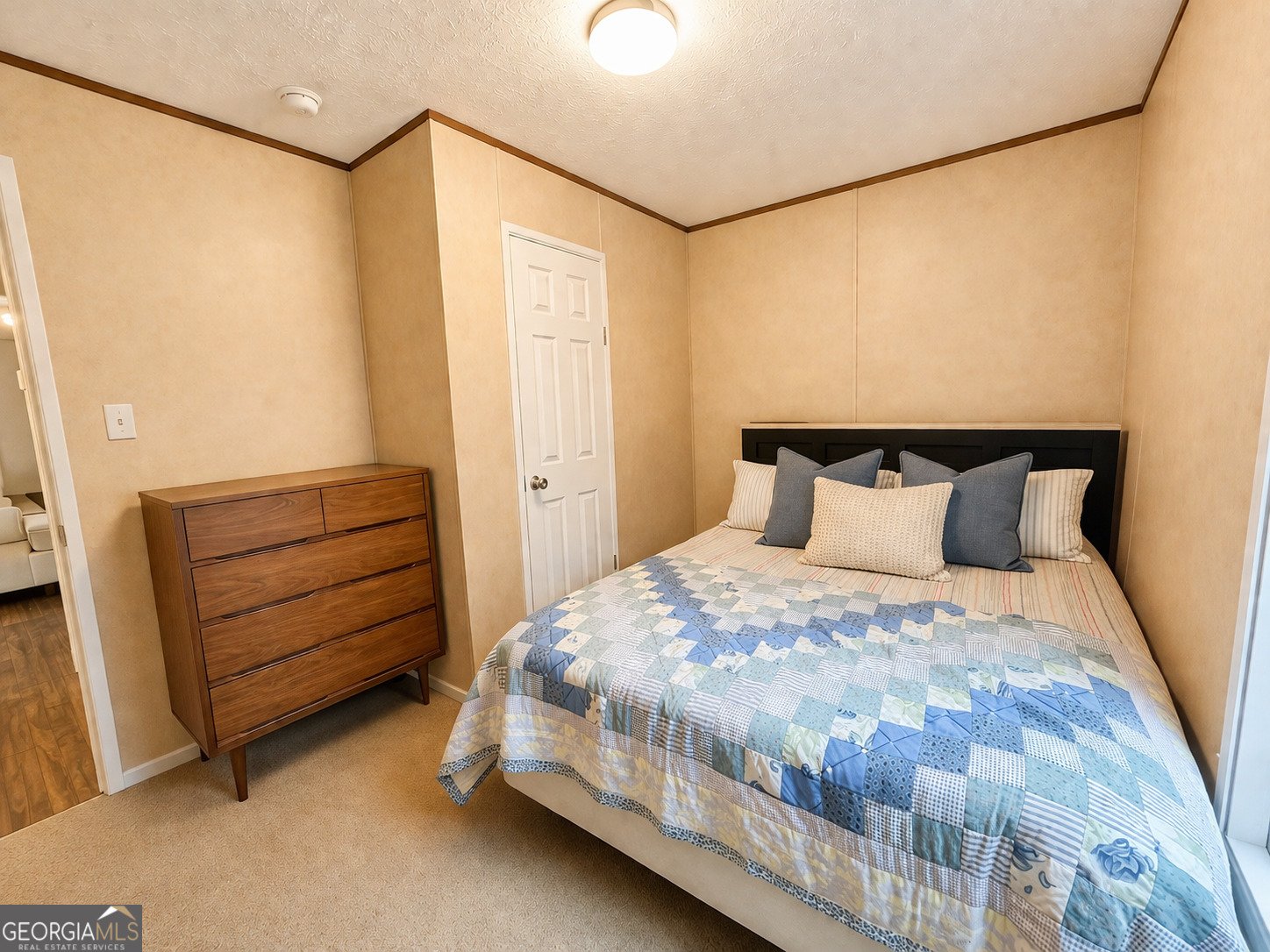 1059 Rabitsch Road Millen - Photo 10
