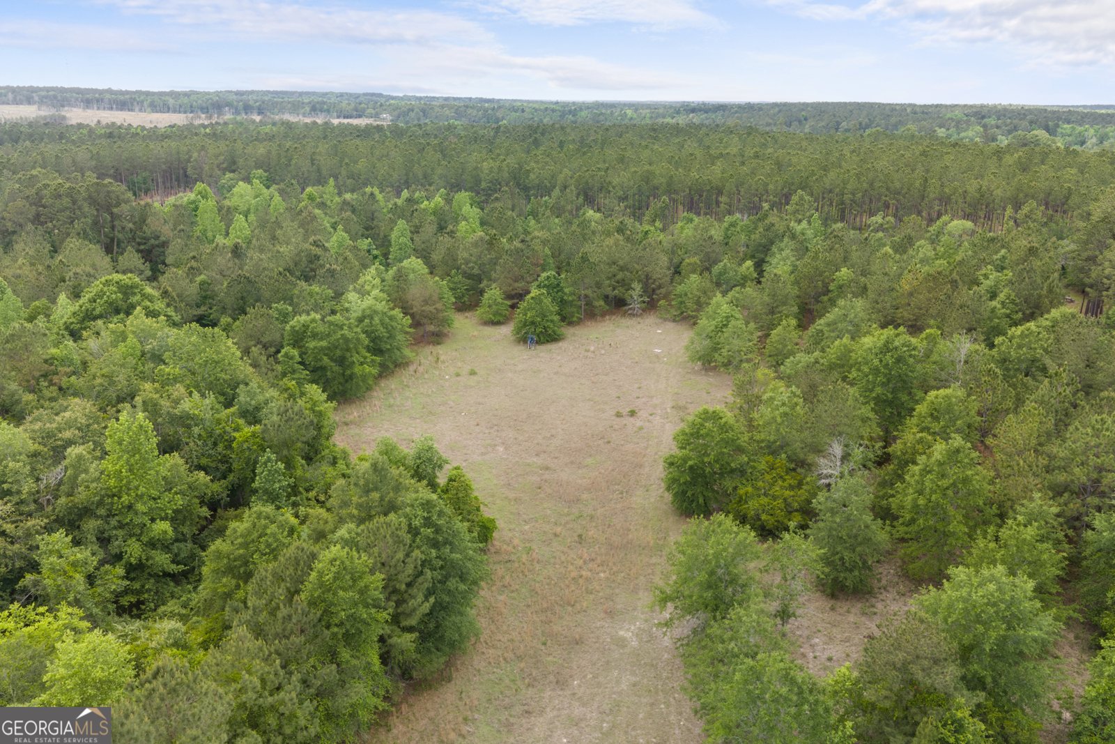 1059 Rabitsch Road Millen - Photo 26