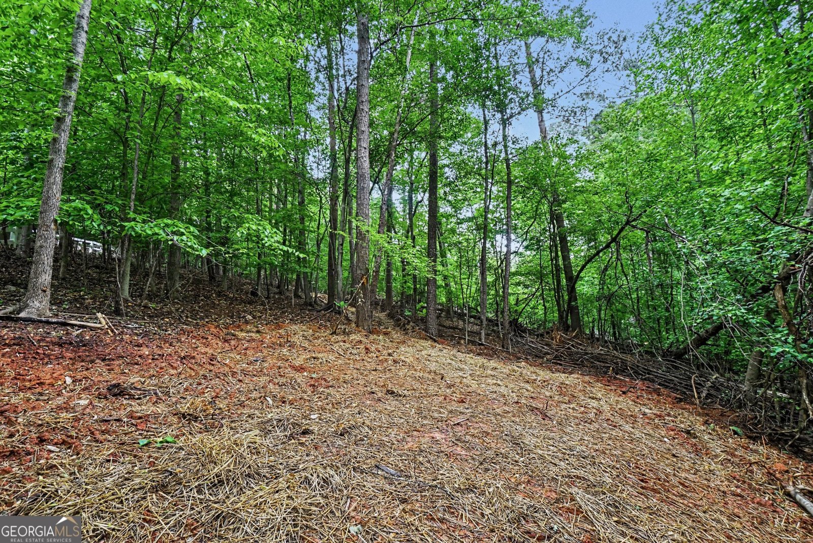 3838 Wesley Chapel Road Marietta - Photo 19