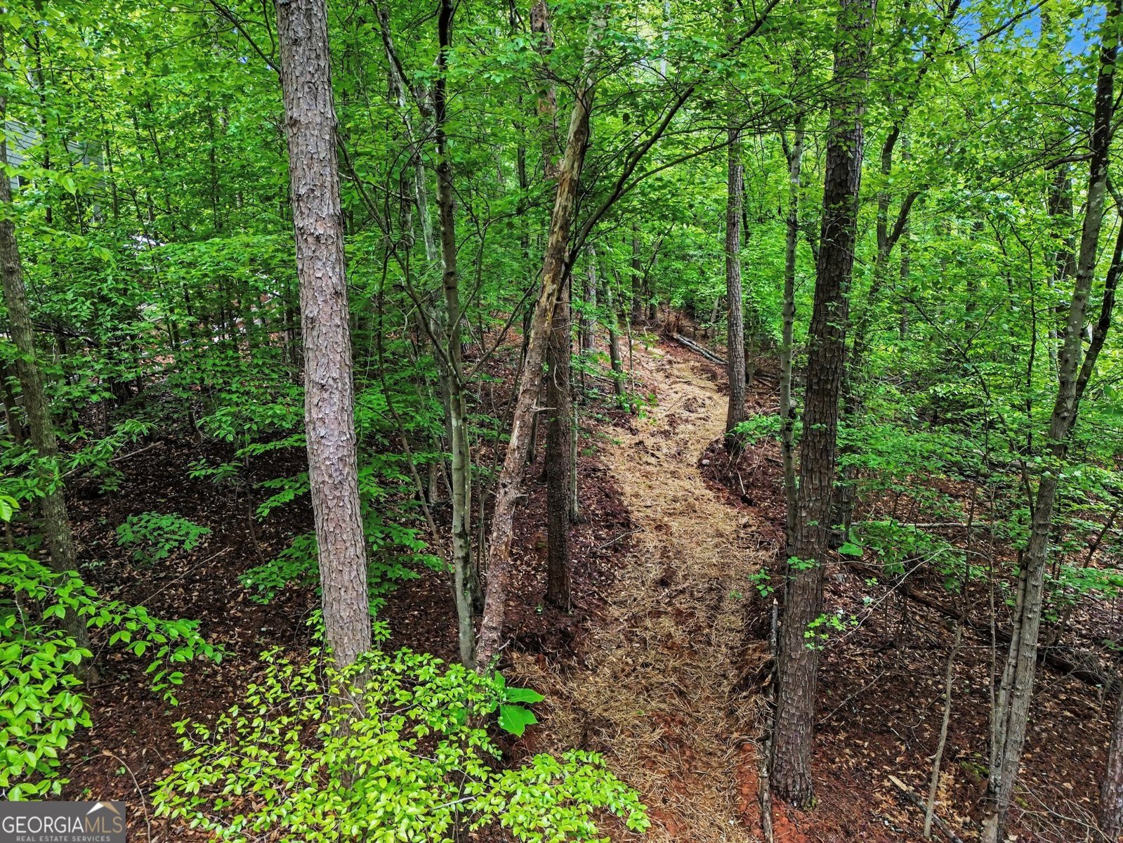 3838 Wesley Chapel Road Marietta - Photo 29