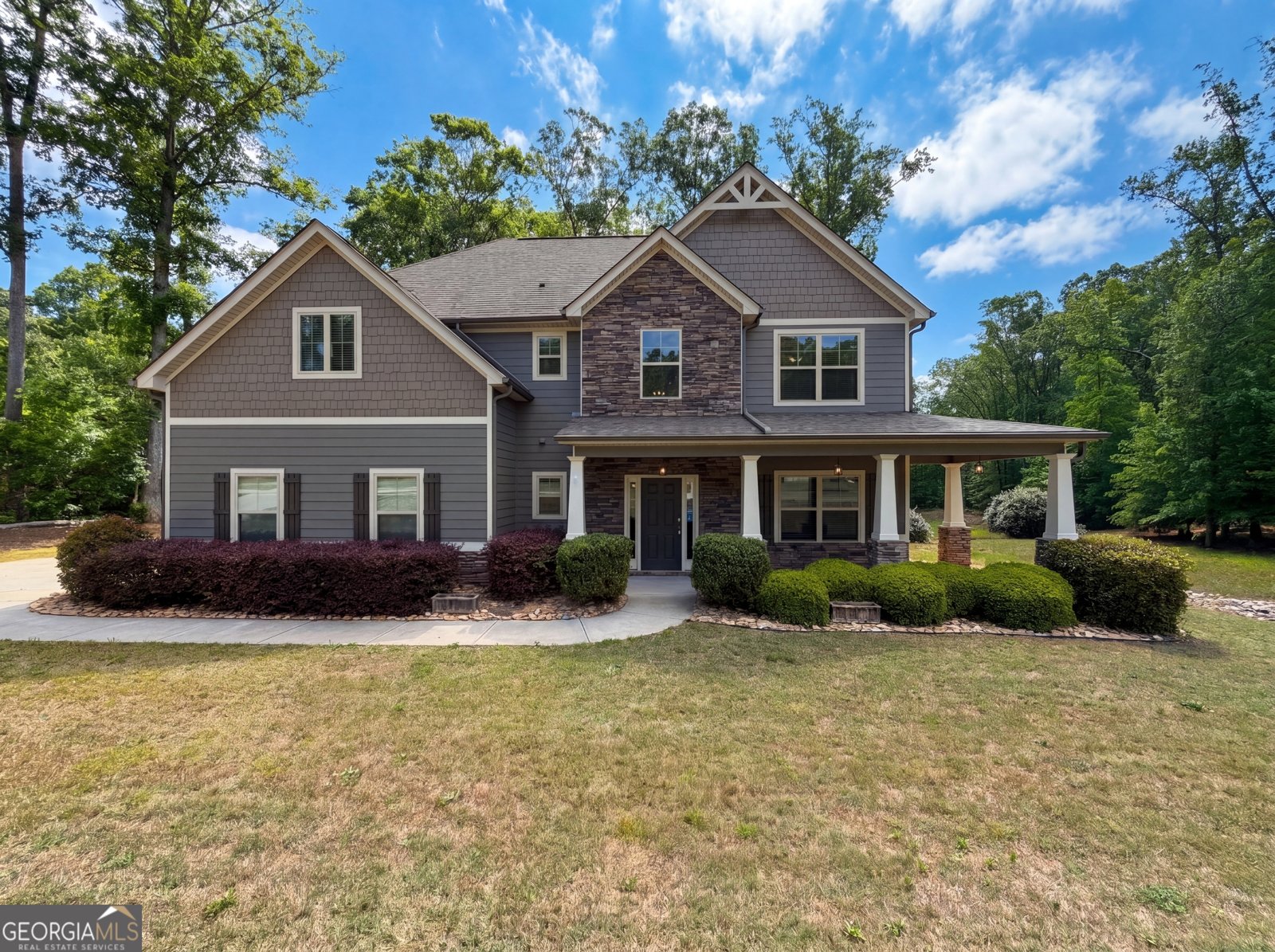 92 Old Bailey Farms Drive Senoia - Photo 1