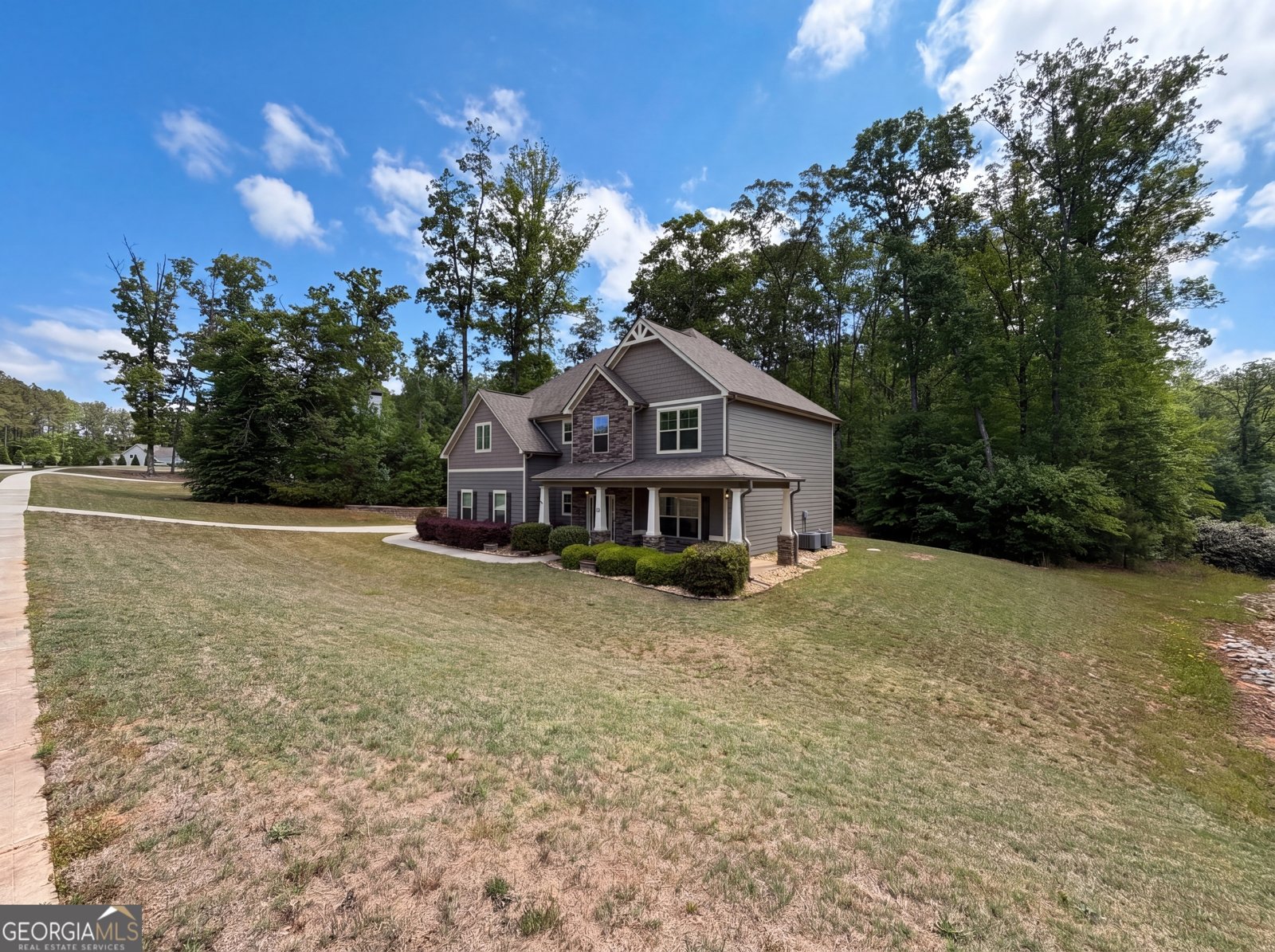 92 Old Bailey Farms Drive Senoia - Photo 24