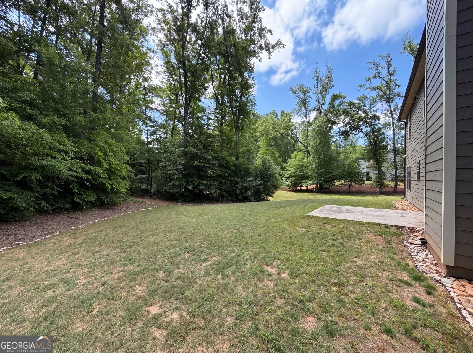 92 Old Bailey Farms Drive Senoia - Photo 25