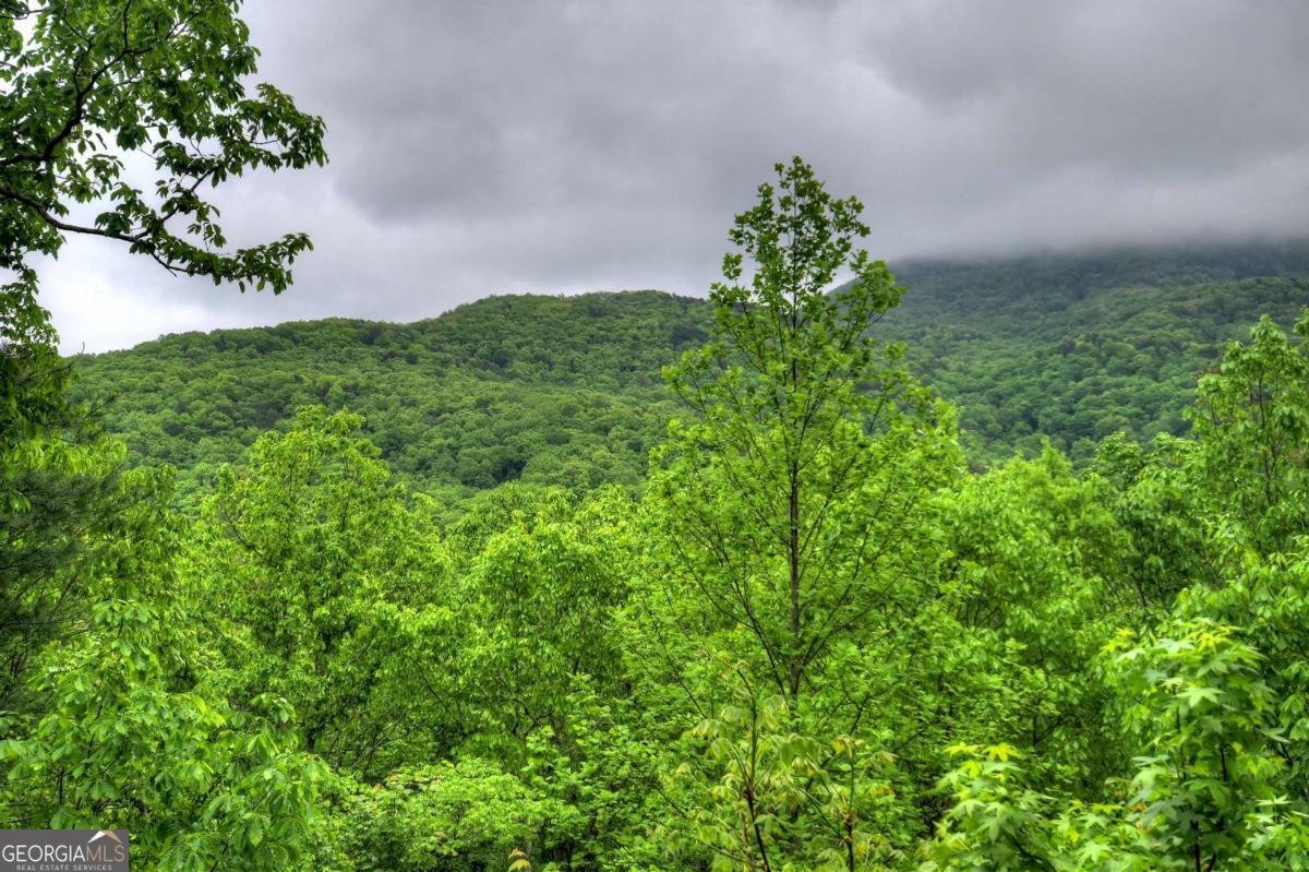 1582 Little Rock Creek Road Cherry Log - Photo 27